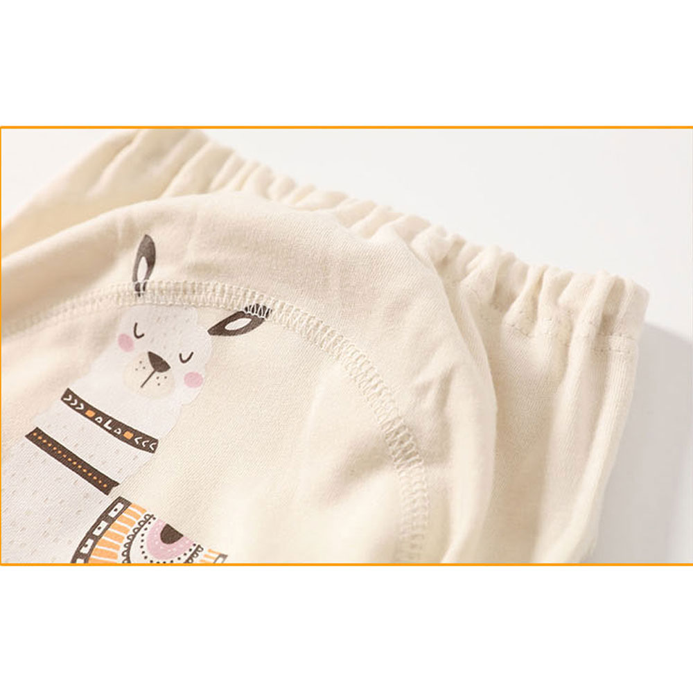 8 pcs/6 pcs กันน้ําเด็กทารกการ - Cloth Diaper Insert บทวิจารณ์และราคา